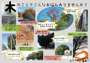 キリヤ